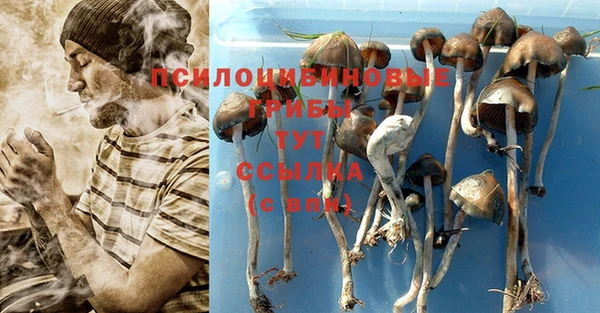 альфа пвп Бугульма