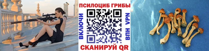 Галлюциногенные грибы прущие грибы продажа наркотиков Александровское