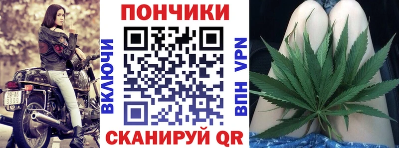 Канабис OG Kush  блэк спрут ссылки  Александровское  цены наркотик 